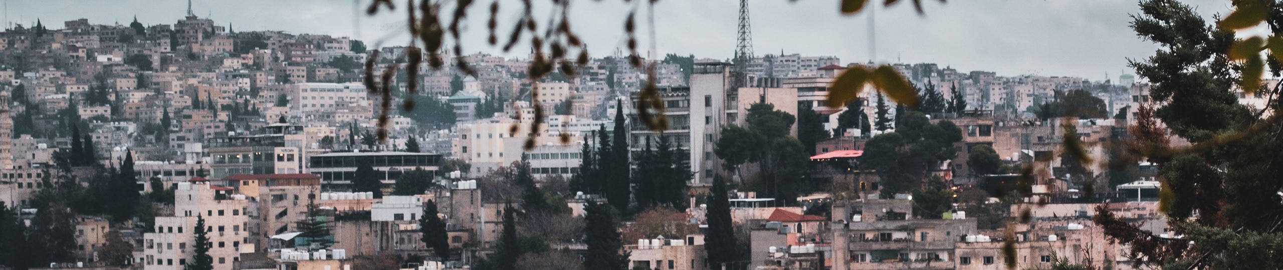 Business in Jordan