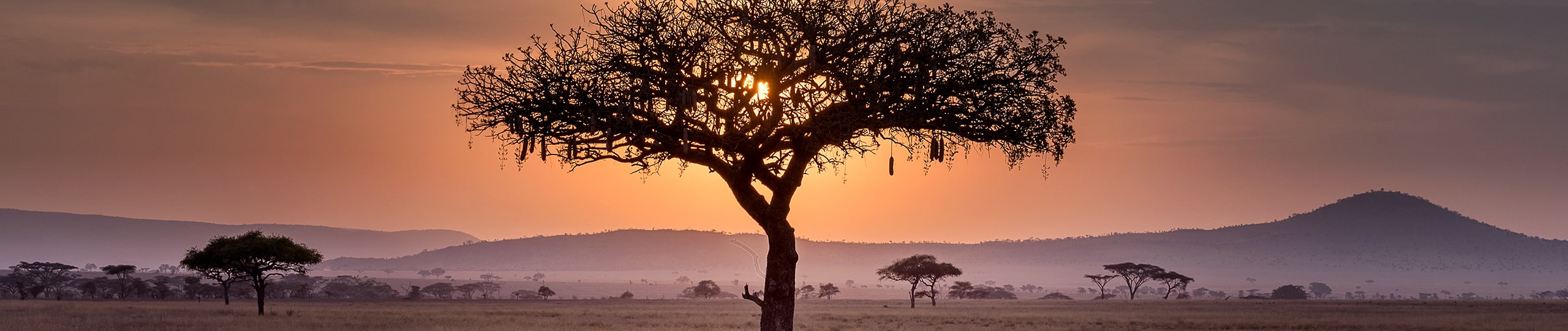 Business in Mali