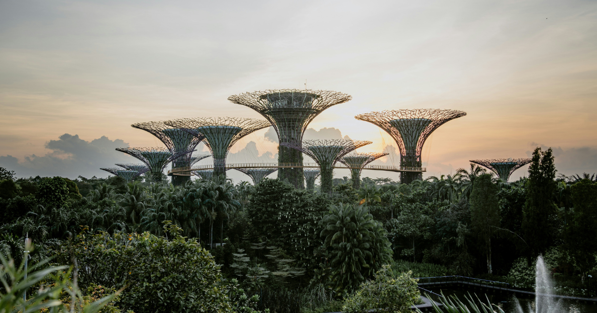 Singapore business