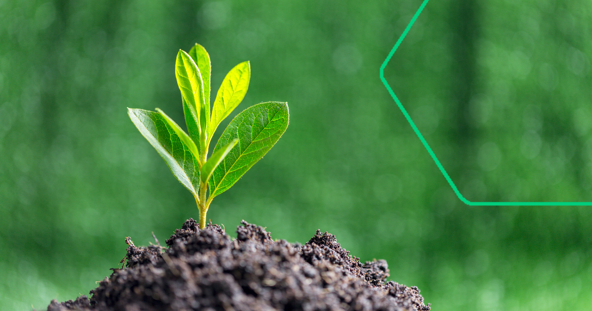 Beyond ESG reporting: the rise of impact accounting